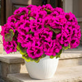 XEAZON Artificial Fake Flowers for Outdoors Decoration 6 Bundles Silk Geraniums Flower UV Resistant Look Real Faux Plants for Spring Summer Garden Porch Patio Window Box Balcony Planters Home Decor